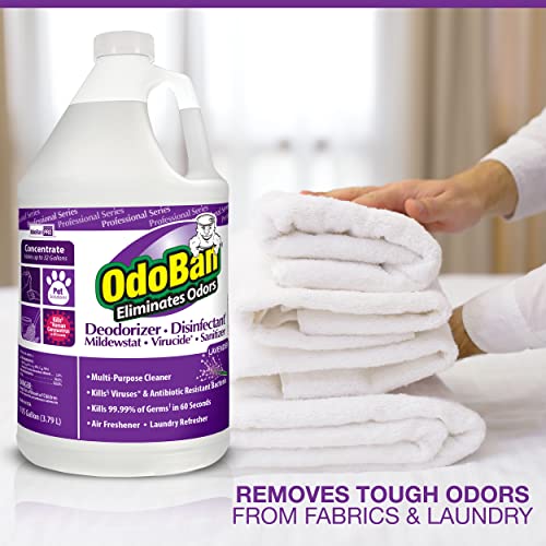 OdoBan Odor Eliminator Concentrate – Eucalyptus & Lavender