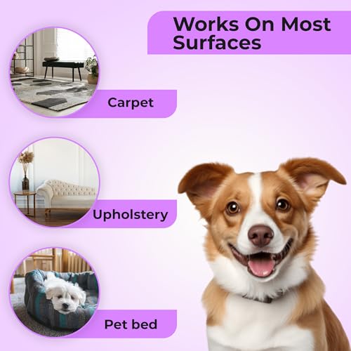 Lavender Upholstery Deodorizer for Homes with Pets
