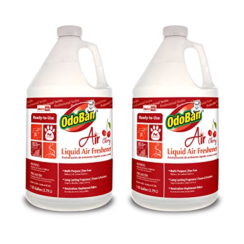 OdoBan Cherry Scent Upholstery Deodorizer, 2-Pack