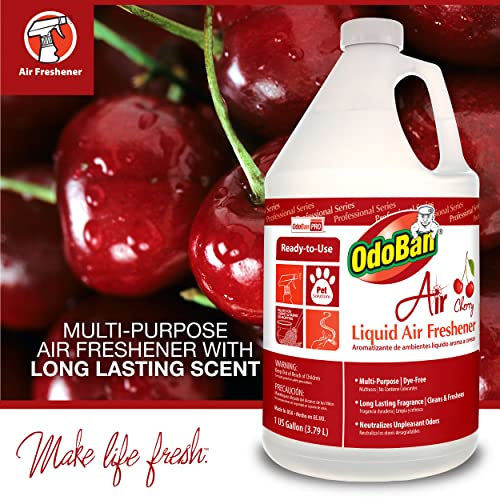 OdoBan Cherry Scent Upholstery Deodorizer, 2-Pack