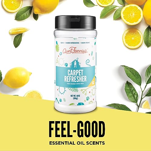 Pet-Friendly Citrus Carpet Refresher 454g