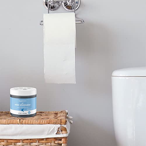 Charcoal Gel Upholstery Odor Eliminator, 1.06 lb