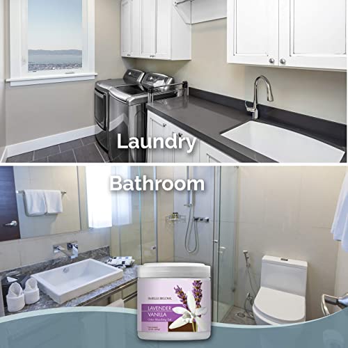 Odor Absorber Gel with Lavender Vanilla Scent