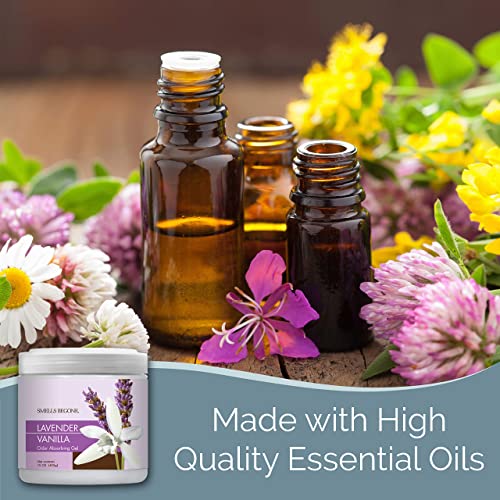 Odor Absorber Gel with Lavender Vanilla Scent