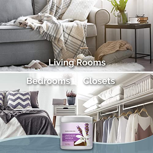 Odor Absorber Gel with Lavender Vanilla Scent