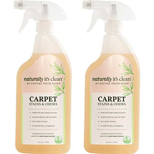 Plant-Based Upholstery Deodorizer & Stain Remover 2-Pack