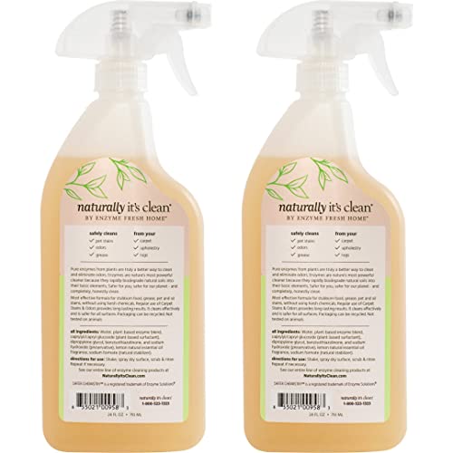 Plant-Based Upholstery Deodorizer & Stain Remover 2-Pack
