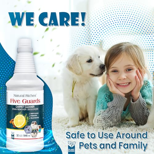 Organic Upholstery Deodorizer and Stain Remover 32oz