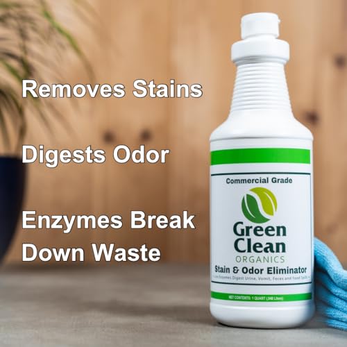 Organic Upholstery Deodorizer & Stain Eliminator