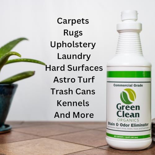 Organic Upholstery Deodorizer & Stain Eliminator