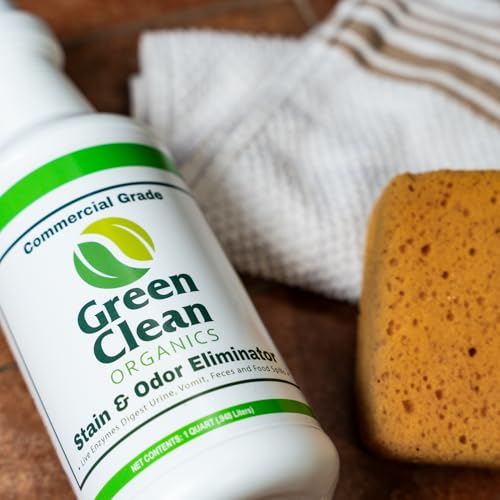 Organic Upholstery Deodorizer & Stain Eliminator