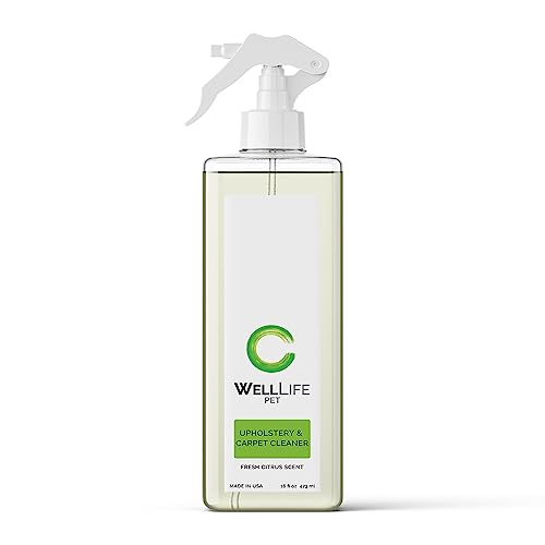 Plant-Based Upholstery Cleaner for Pets and Families