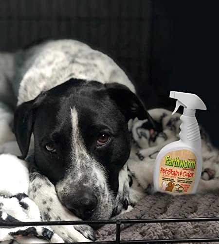 Earthworm Pet Urine Odor Eliminator Spray - 22 oz