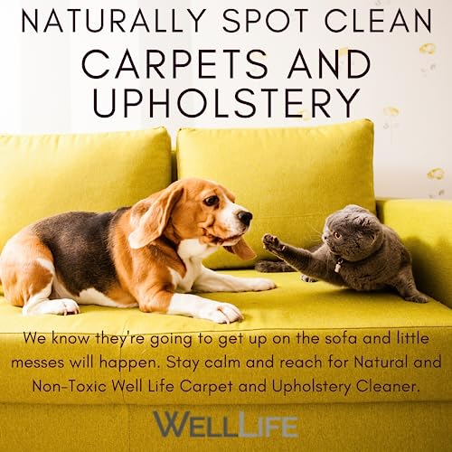 Plant-Based Upholstery Cleaner for Pets and Families
