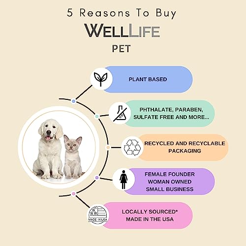 Plant-Based Upholstery Cleaner for Pets and Families