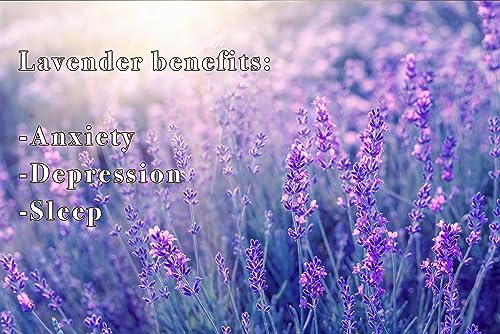 Lavender & Vanilla Fabric Deodorizer Spray