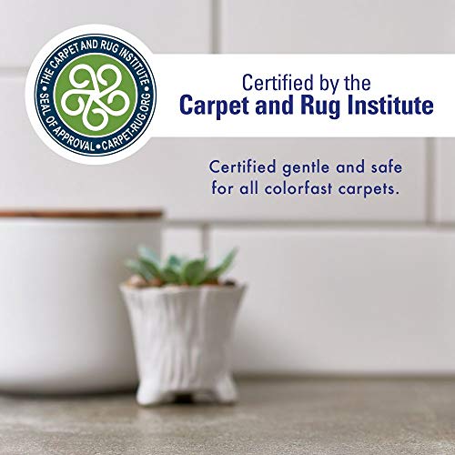 Enzyme Odor Eliminator Spray for Carpets & Upholstery