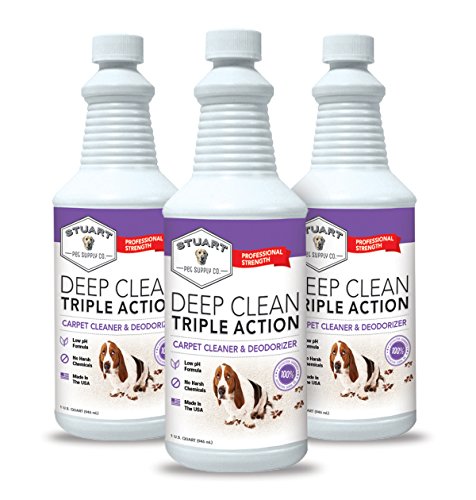 Professional Strength Carpet Cleaner & Deodorizer 128 fl oz