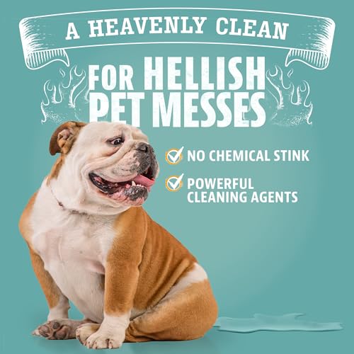 ANGRY ORANGE Upholstery Deodorizer - 24oz Citrus Foam