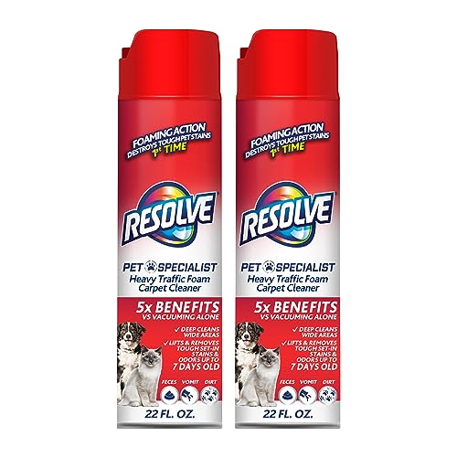 Pet Odor and Stain Remover Foam, 22 Oz