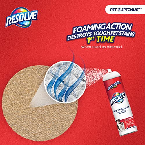 Pet Odor and Stain Remover Foam, 22 Oz