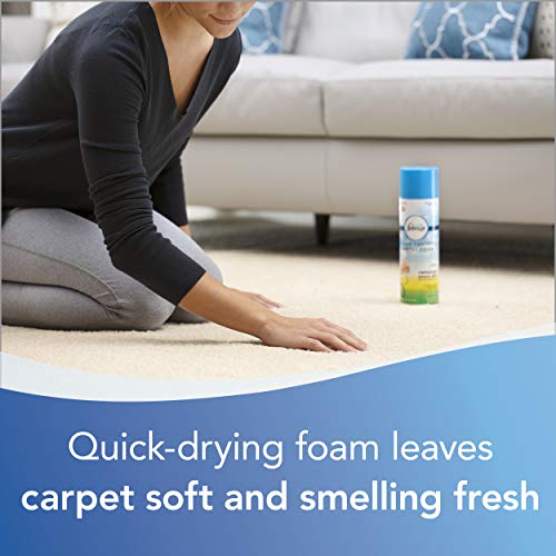 BISSELL Heavy Traffic Carpet Foam, Gain Scent