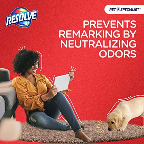 Pet Odor and Stain Remover Foam, 22 Oz