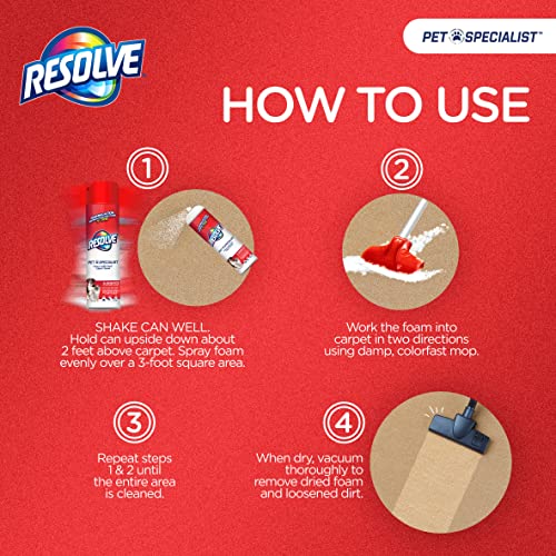 Pet Odor and Stain Remover Foam, 22 Oz