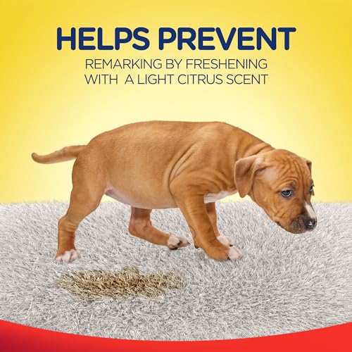 Urine Destroyer Spray for Stains and Odors