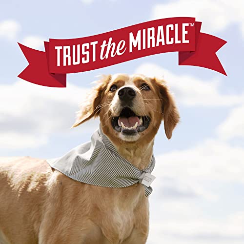 Nature's Miracle Dog Urine Odor Eliminator, 17.5 oz