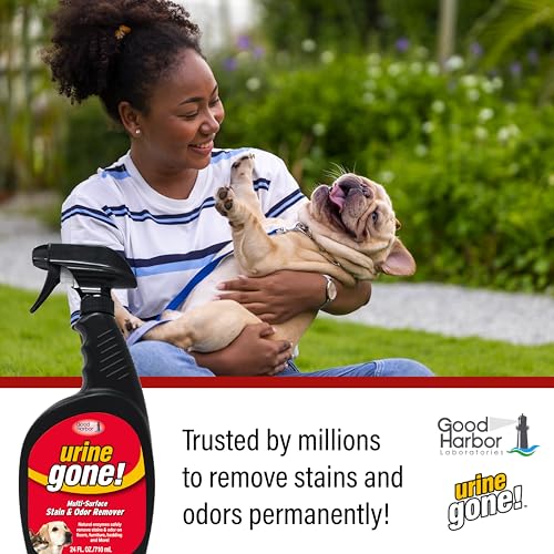 Pet Stain & Odor Eliminator – Professional Strength