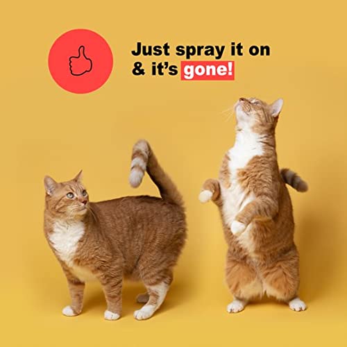 Pet Stain & Odor Eliminator – Professional Strength