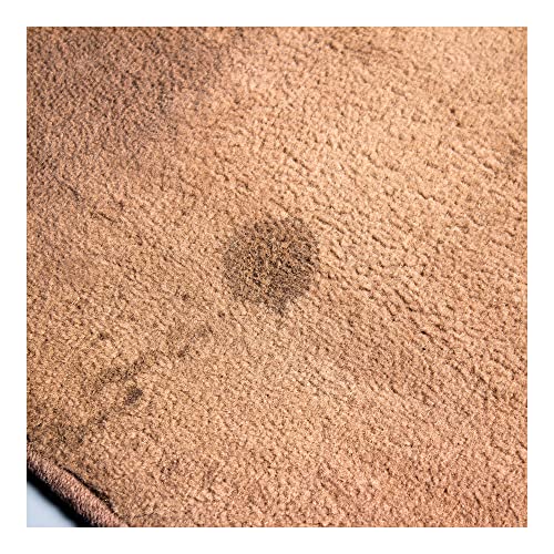 Griot's Garage Foaming Upholstery Deodorizer, 19oz