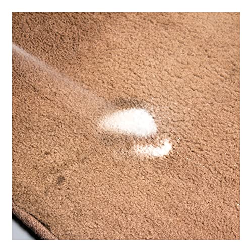 Griot's Garage Foaming Upholstery Deodorizer, 19oz