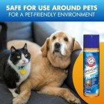 Arm & Hammer Fabric and Carpet Foam Deodorizer