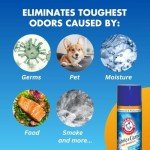 Arm & Hammer Fabric and Carpet Foam Deodorizer
