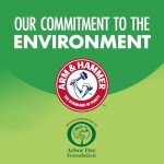 Arm & Hammer Fabric and Carpet Foam Deodorizer