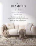 Noir Luxe Natural Upholstery Odor Eliminator Powder