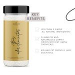 Citrus Lemon & Mango Upholstery Odor Eliminator