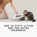 Citrus Lemon & Mango Upholstery Odor Eliminator