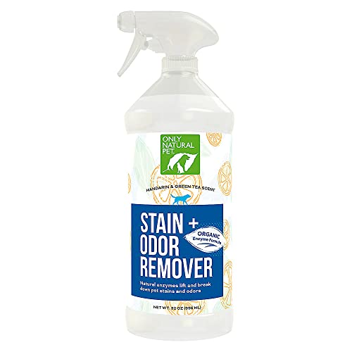 Natural Enzyme Pet Odor Eliminator, Mandarin Orange Scent