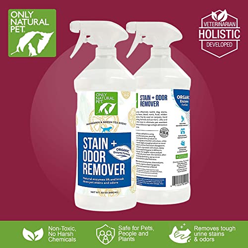 Natural Enzyme Pet Odor Eliminator, Mandarin Orange Scent