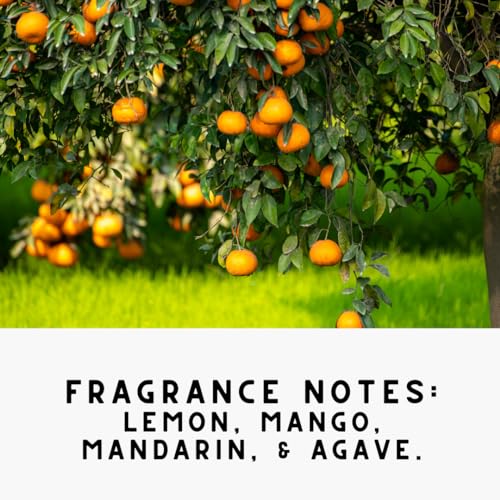 Citrus Lemon & Mango Upholstery Odor Eliminator