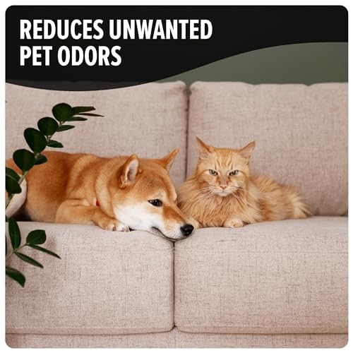 Pet Odor Eliminator Carpet Powder, Tropical Breeze
