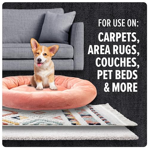 Pet Odor Eliminator Carpet Powder, Tropical Breeze