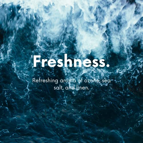 Sea Mist Carpet Powder & Upholstery Freshener Bundle