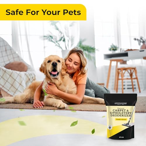 Aromasong Dead Sea Flocken Upholstery Deodorizer 1.4kg