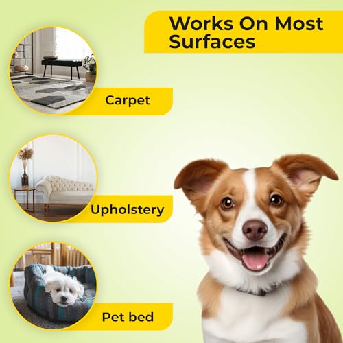 Aromasong Dead Sea Flocken Upholstery Deodorizer 1.4kg