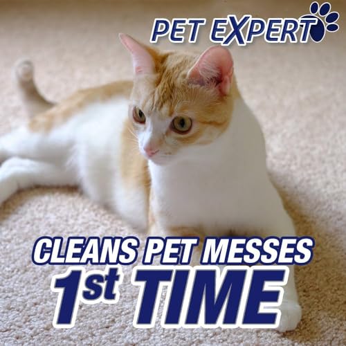 Pet Odor Eliminator Foam Cleaner Bundle (2-Pack)