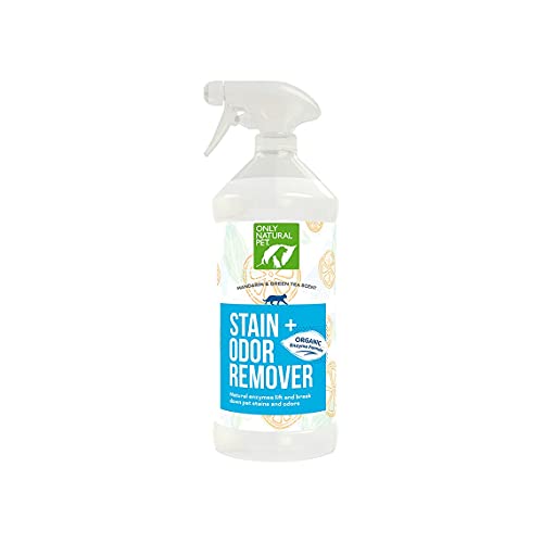 Natural Pet Odor Eliminator with Mandarin & Green Tea